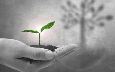 How to Start a Rehab