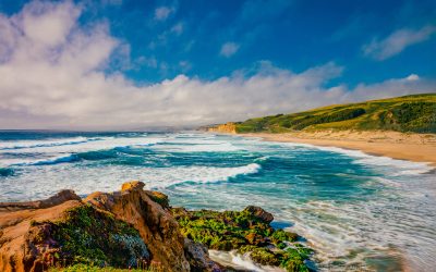 The Pros and Cons of Opening a Treatment Center