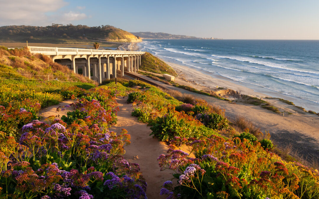 How to open a rehab in san diego